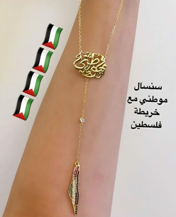 Hometown Colorful Palestine Map Necklace – 925 Sterling Silver Hometown Colorful Palestine Map Necklace with zircon stones in Palestinian flag colors, 925 sterling silver