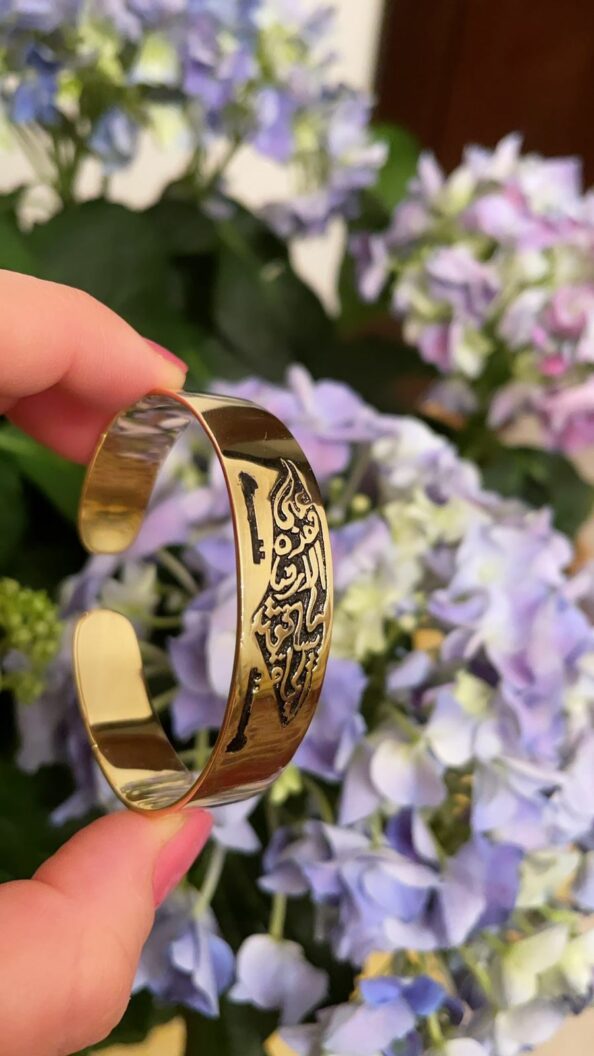 Brac-5 (13) Brac-5 (13)