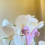 39efa5fa-4373-4e6b-9ee3-aecc37f1ca9b