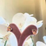 653df612-bcb2-4314-bf33-cba2f04618be